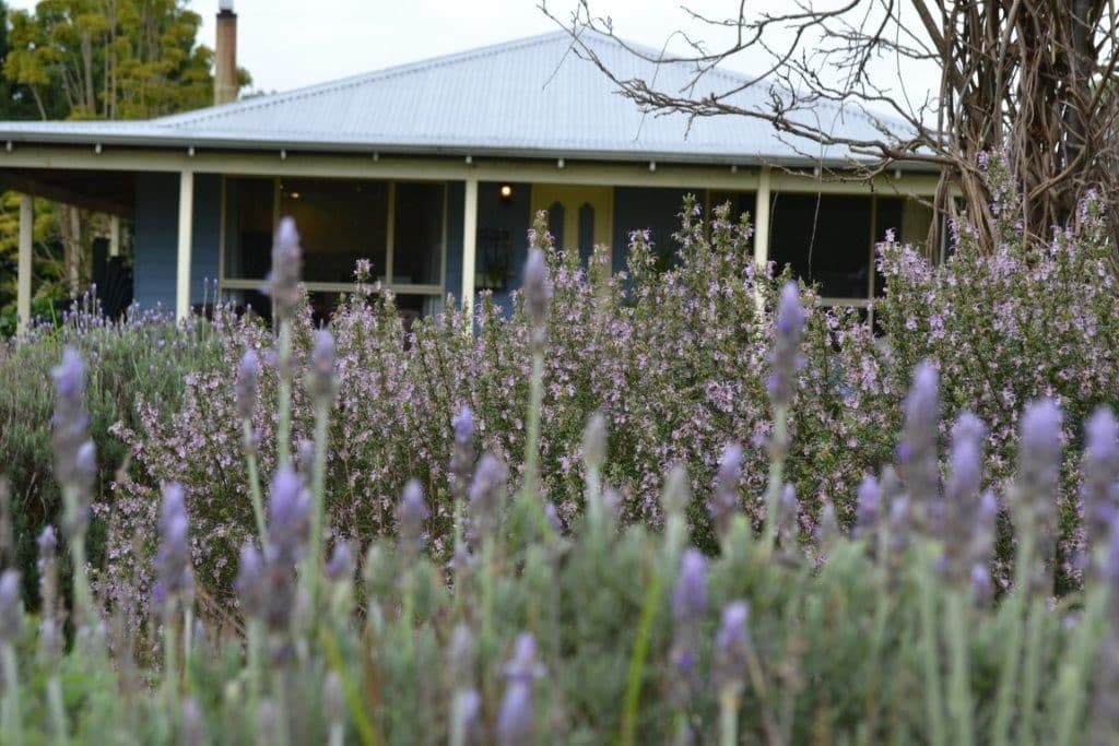 139 Morpeth Street, MOUNT BARKER WA 6324, Mount Barker - Thumbnail 3