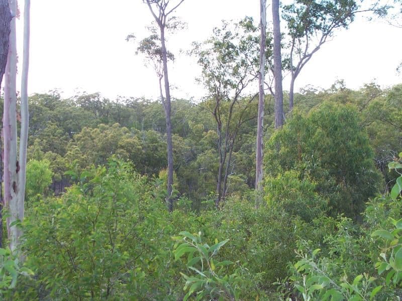 861 Duckpond Road, MOOLBOOLAMAN QLD 4671, Moolboolaman - Image 1