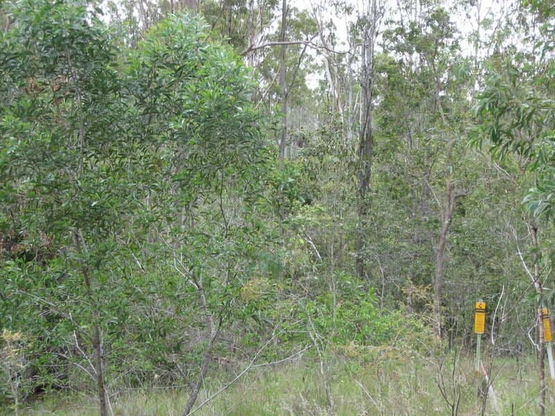 861 Duckpond Road, MOOLBOOLAMAN QLD 4671, Moolboolaman - Thumbnail 2