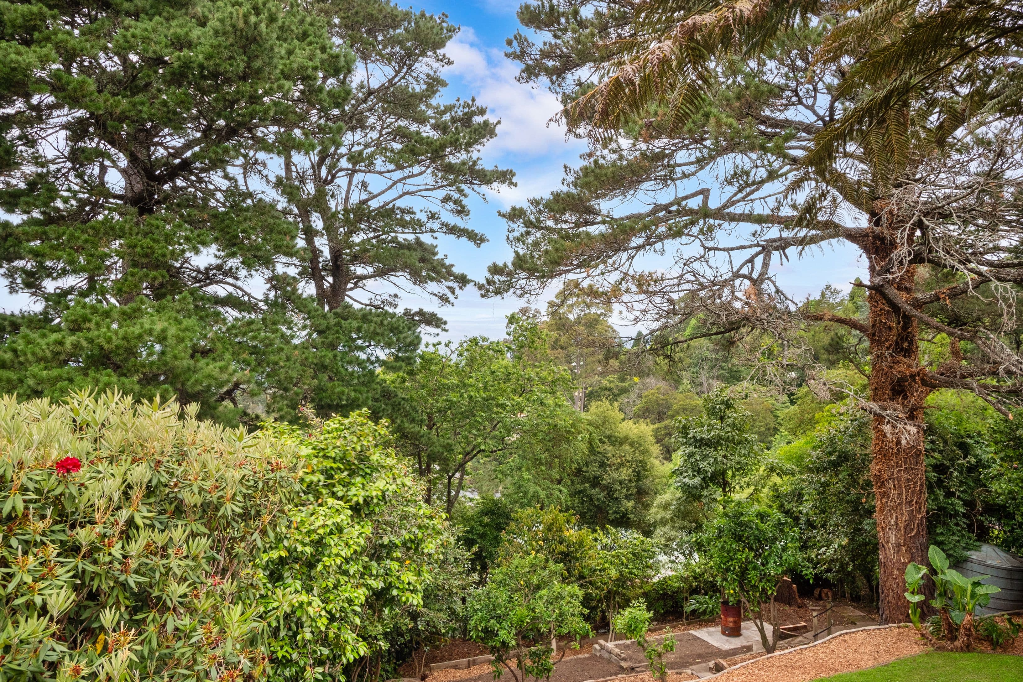 33 Coach House Place, Kurrajong Heights NSW 2758, Kurrajong Heights - Thumbnail 7