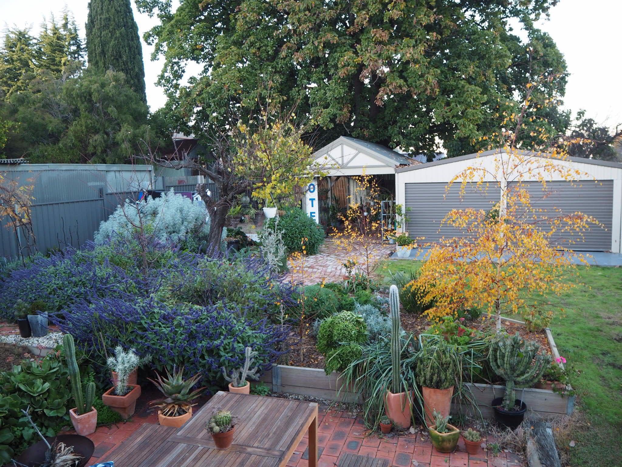 18 Hodgkinson Street, Kennington VIC 3550, Kennington - Thumbnail 2