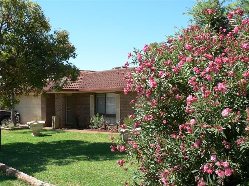 293 Myall Street, DUBBO NSW 2830, Dubbo - Image 1