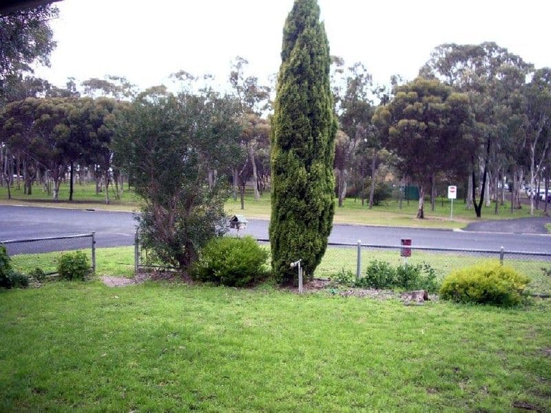43 Park Terrace, BORDERTOWN SA 5268, Bordertown - Thumbnail 4