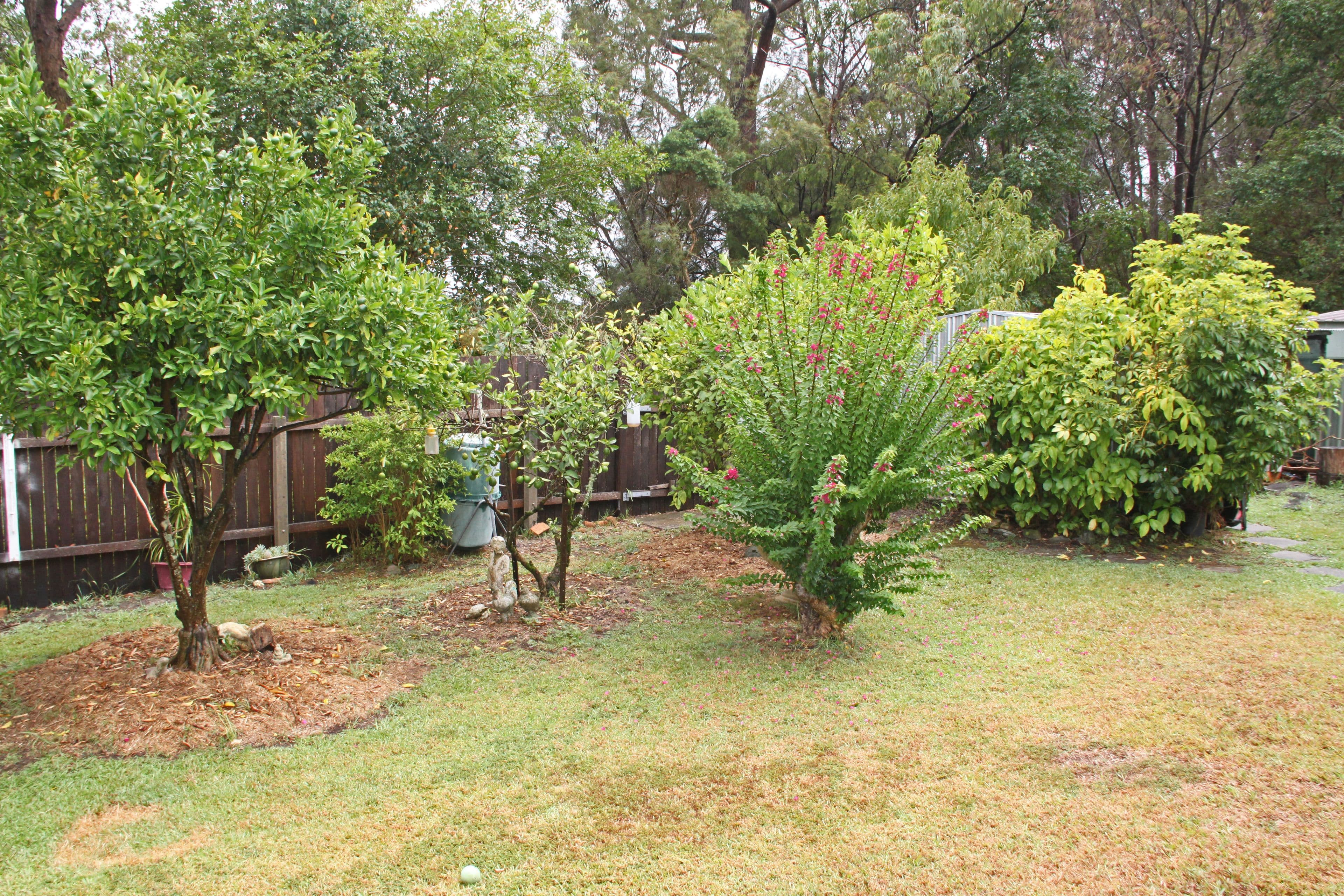 8 Ringtail Close, Lakewood - Thumbnail 4