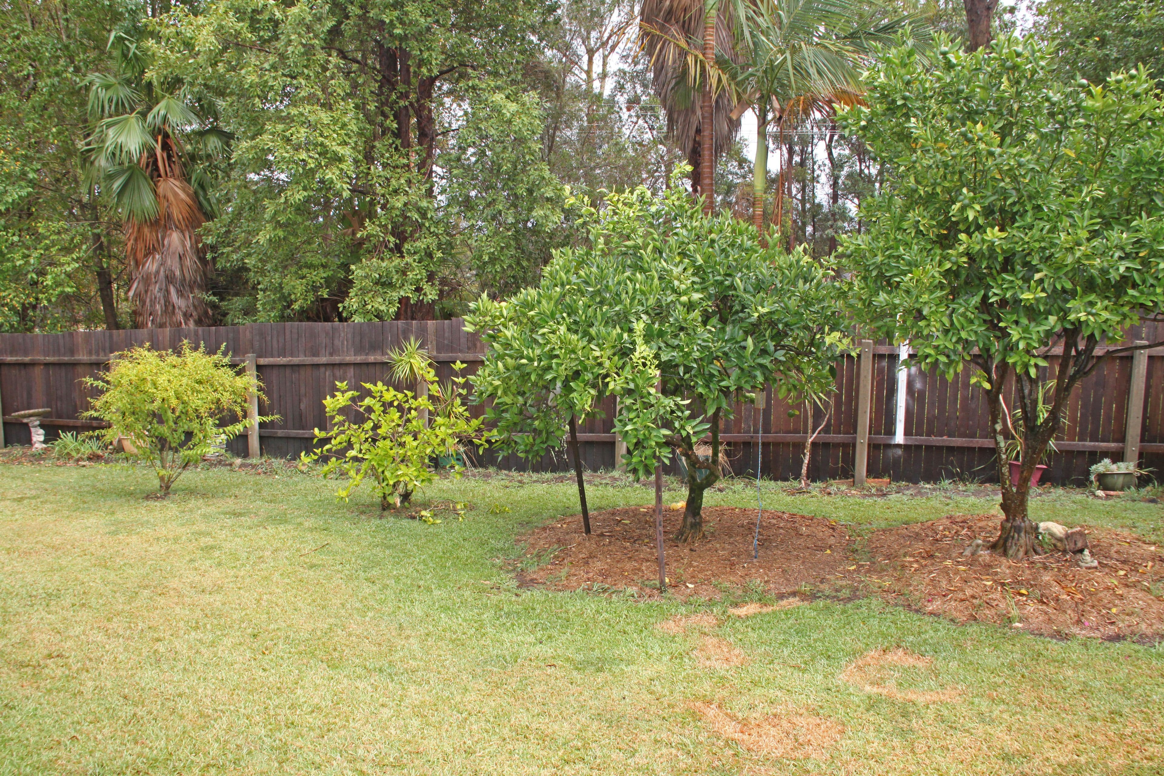 8 Ringtail Close, Lakewood - Thumbnail 6