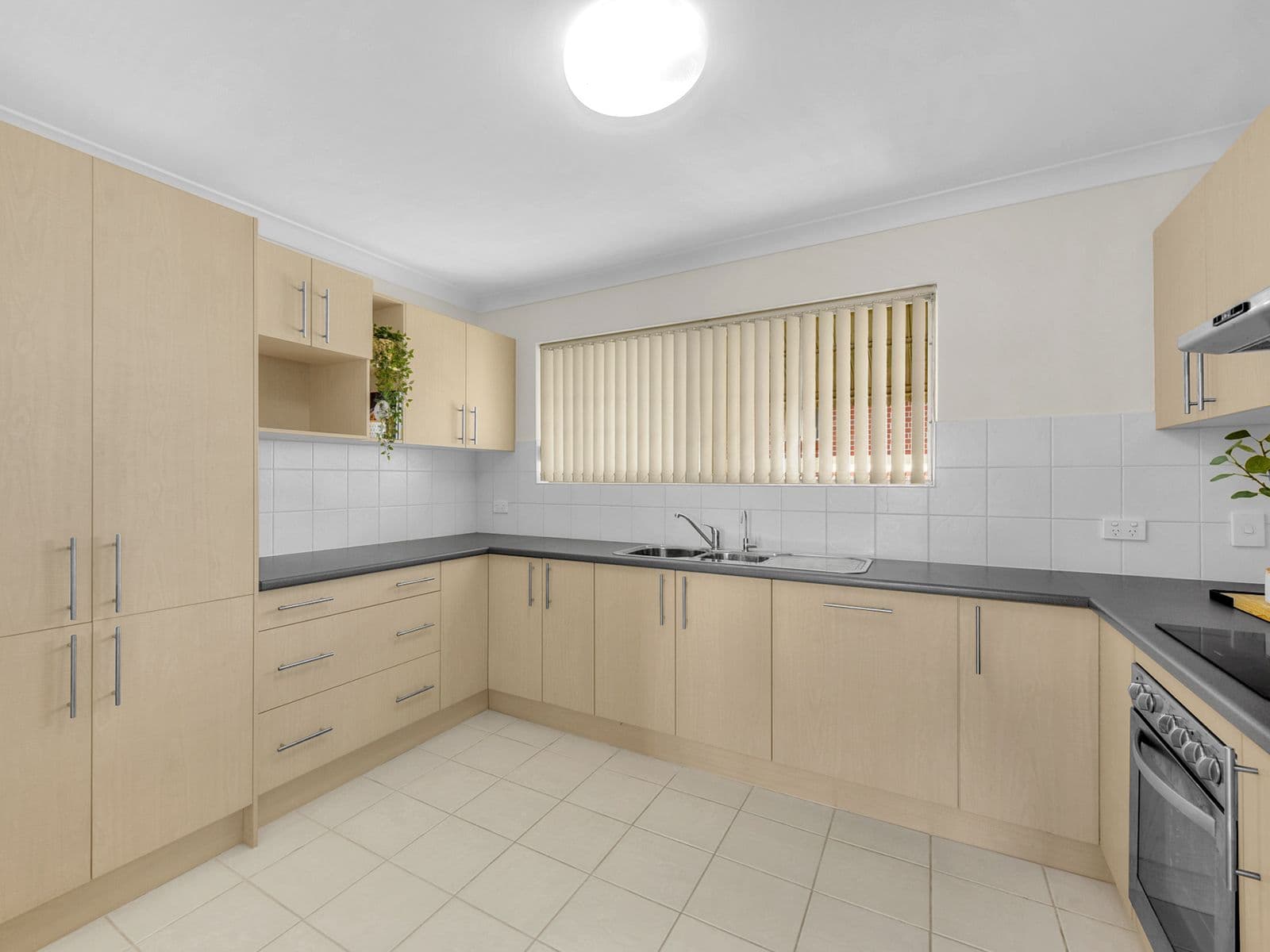 56 Kitchener Street, Coorparoo QLD 4151, Coorparoo - Thumbnail 6