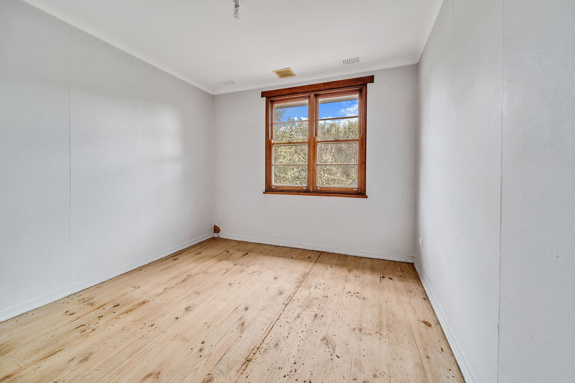 20 Piper Street, Ainslie ACT 2602, Ainslie - Thumbnail 6
