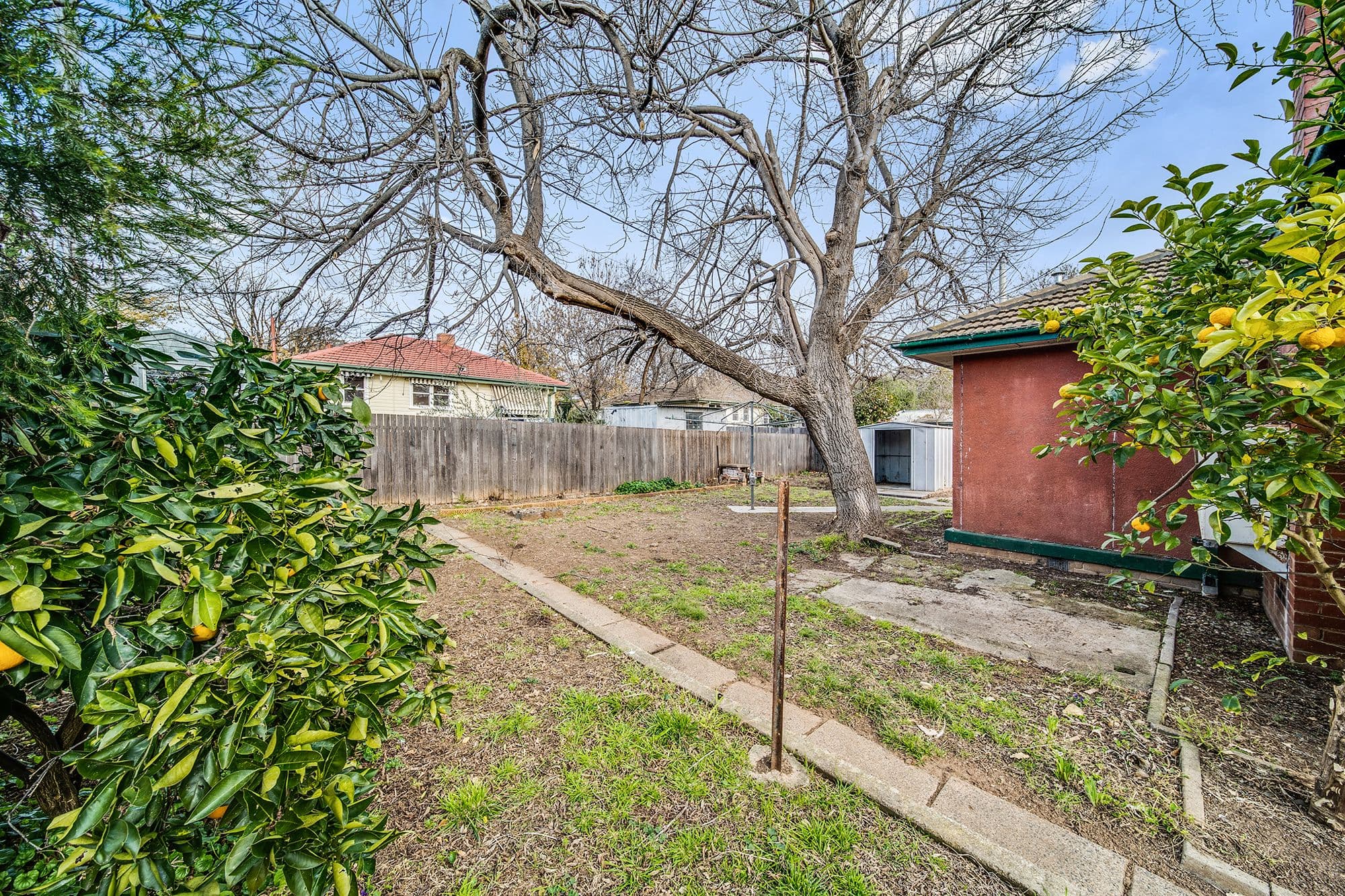20 Piper Street, Ainslie ACT 2602, Ainslie - Thumbnail 8