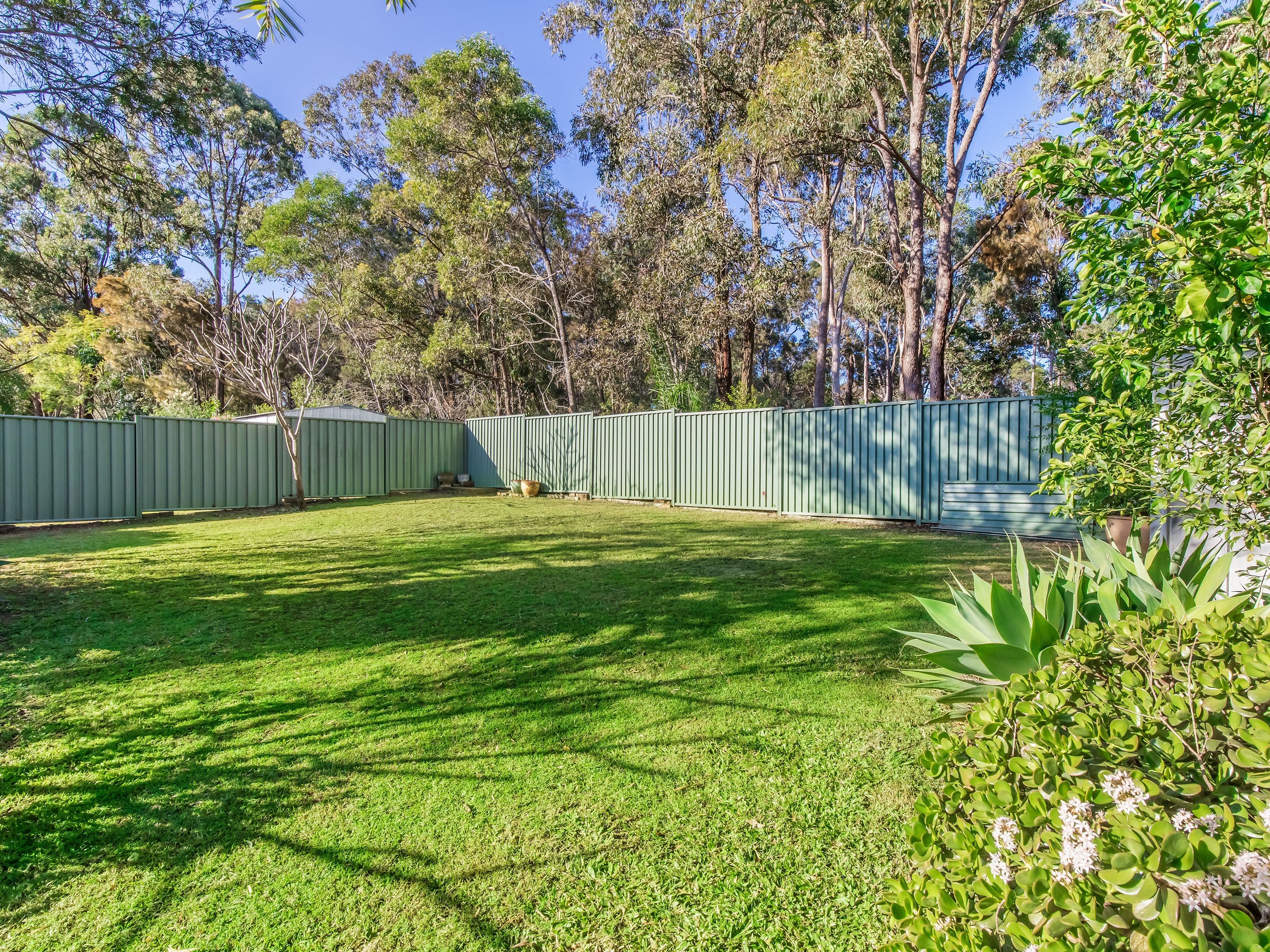 15 Rivervista Court, Eagleby QLD 4207, Eagleby - Thumbnail 3