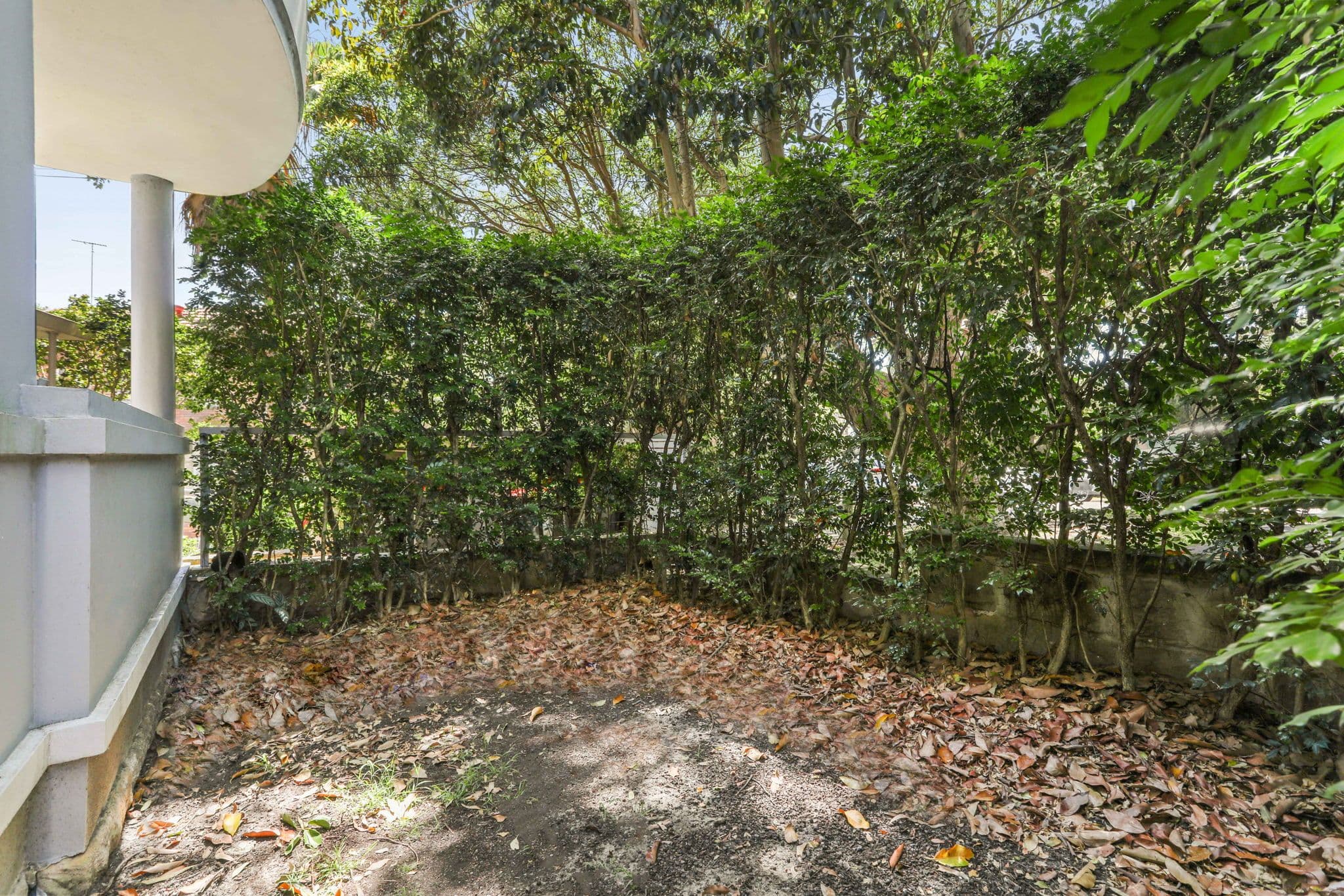 78 Birriga Road, Bellevue Hill NSW 2023, Bellevue Hill - Thumbnail 7
