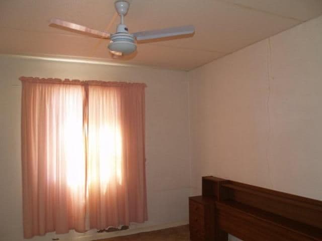 14 Thompson Street, WAIKERIE SA 5330, Waikerie - Thumbnail 3