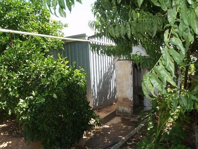 14 Thompson Street, WAIKERIE SA 5330, Waikerie - Thumbnail 7
