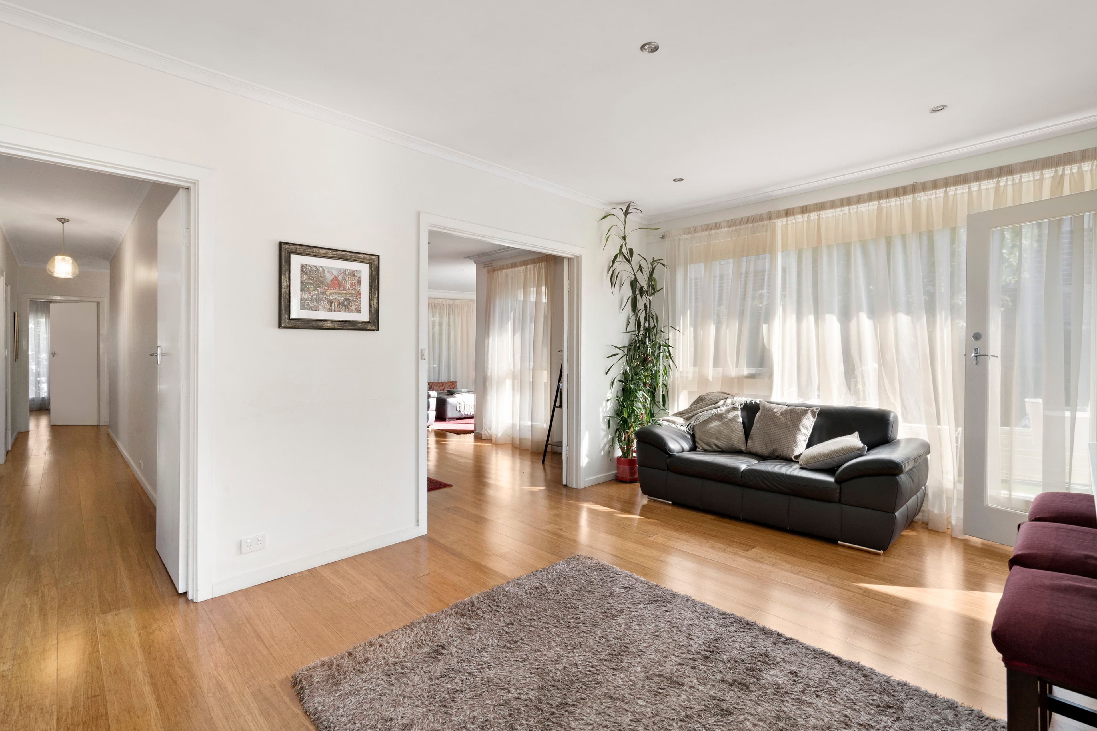 37 Argus Street, Cheltenham VIC 3192, Cheltenham - Thumbnail 4