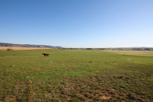 3 Millpost Lane, BUNGENDORE NSW 2621, Bungendore - Thumbnail 3