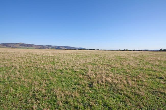 3 Millpost Lane, BUNGENDORE NSW 2621, Bungendore - Thumbnail 4