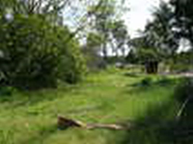423  Middle Road, GREENBANK QLD 4124, Greenbank - Thumbnail 2