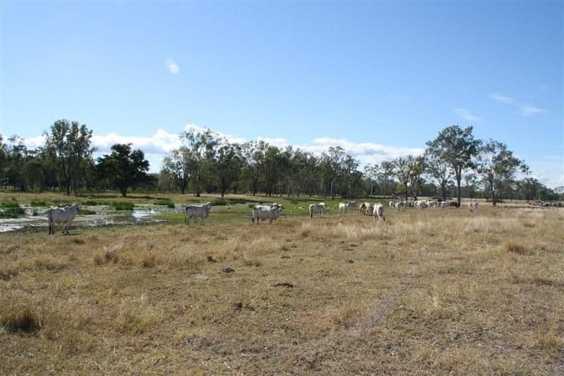 L 119 and 284 Nine Mile Road, FAIRY BOWER QLD 4700, Fairy Bower - Thumbnail 3