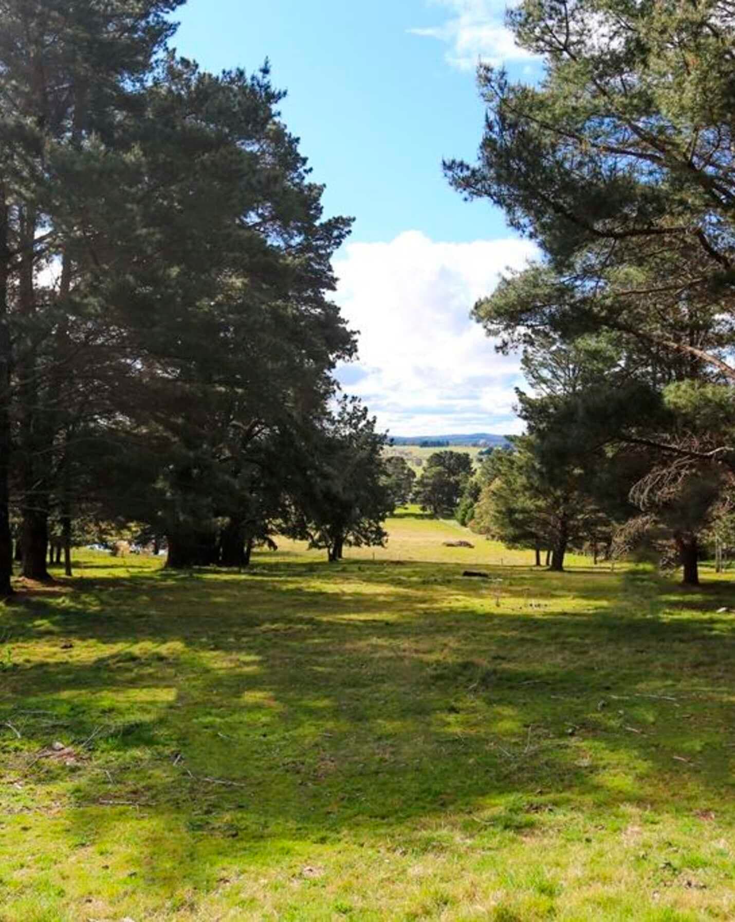 7031 Illawarra Highway Moss Vale, Vale - Thumbnail 4