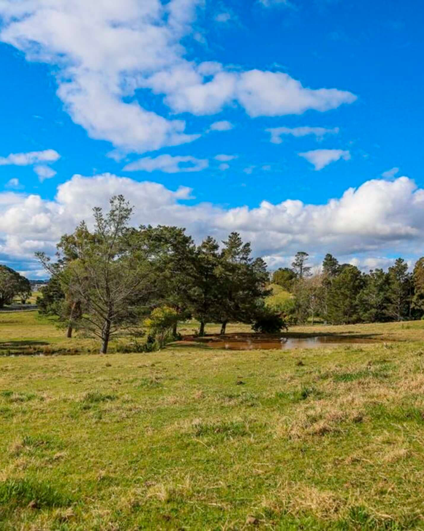 7031 Illawarra Highway Moss Vale, Vale - Thumbnail 5