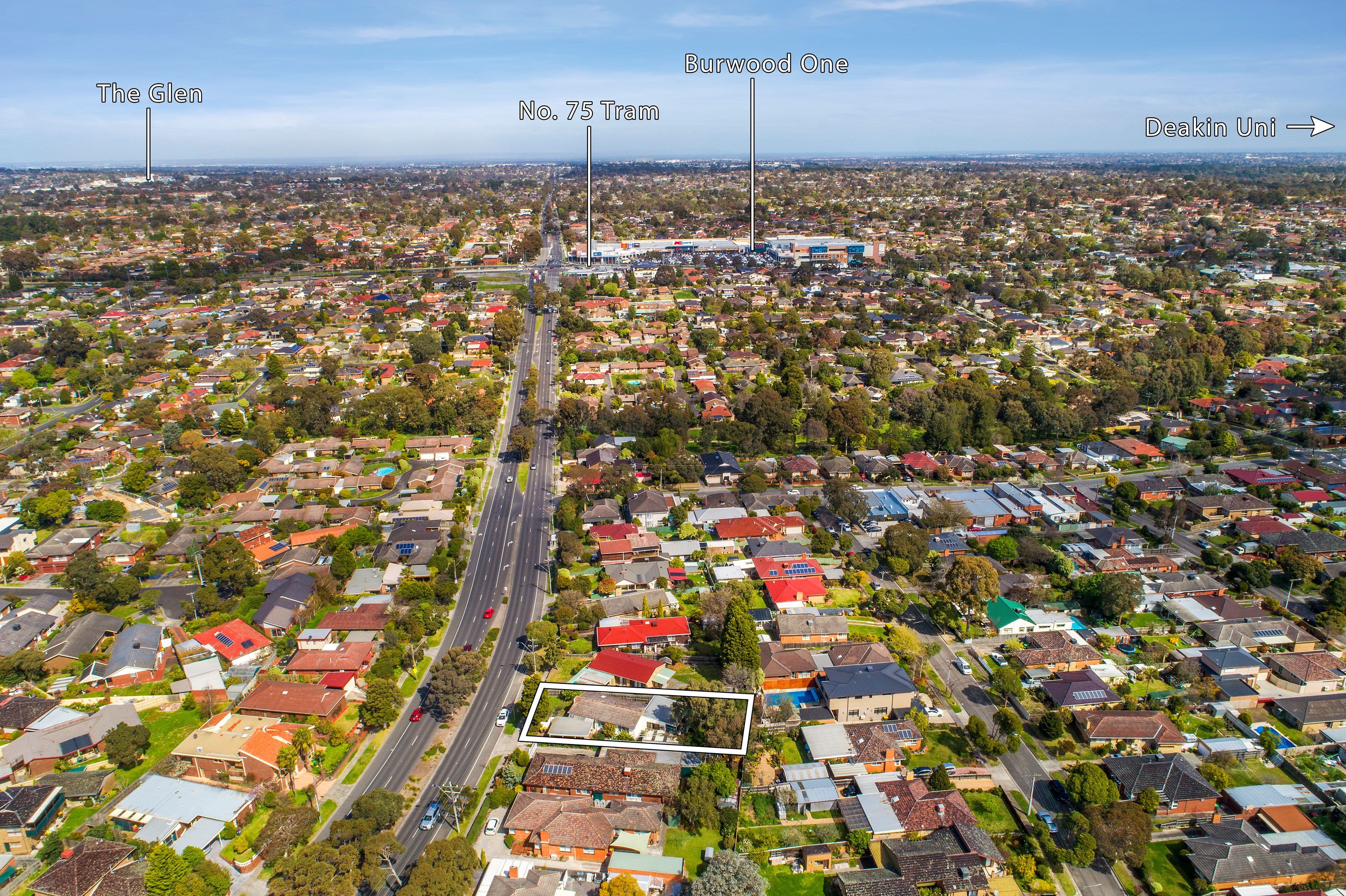 290 Blackburn Road, Blackburn South VIC 3130, Blackburn South - Thumbnail 2