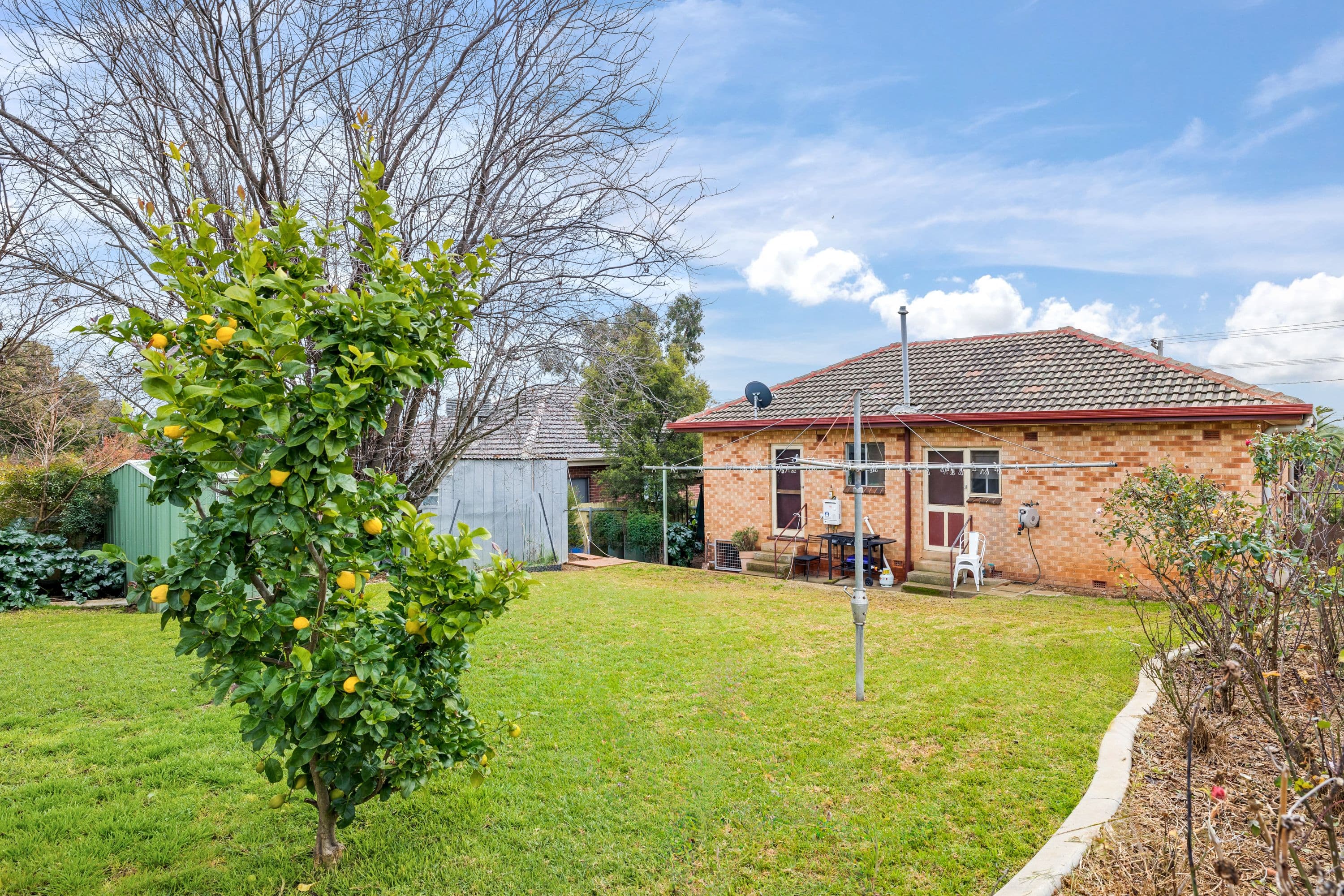 114 Ashmont Avenue, Ashmont NSW 2650, Ashmont - Thumbnail 8