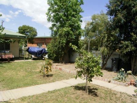 501 Prune Street, LAVINGTON NSW 2641, Lavington - Thumbnail 4
