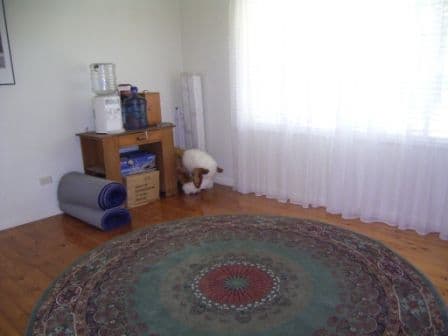 501 Prune Street, LAVINGTON NSW 2641, Lavington - Thumbnail 5