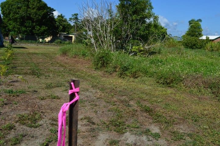 7 Mary Street, Silkwood QLD 4856, Silkwood - Thumbnail 2