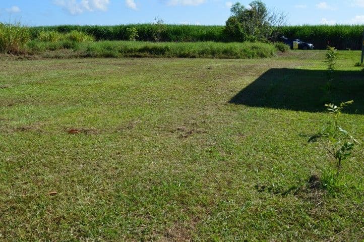 7 Mary Street, Silkwood QLD 4856, Silkwood - Thumbnail 4
