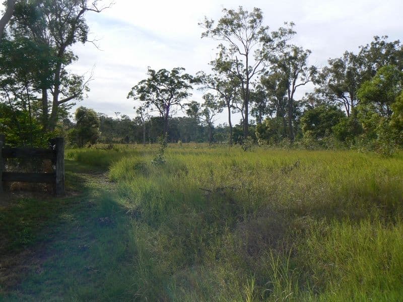 50 Georgia Way, Oakhurst QLD 4650, Oakhurst - Image 1