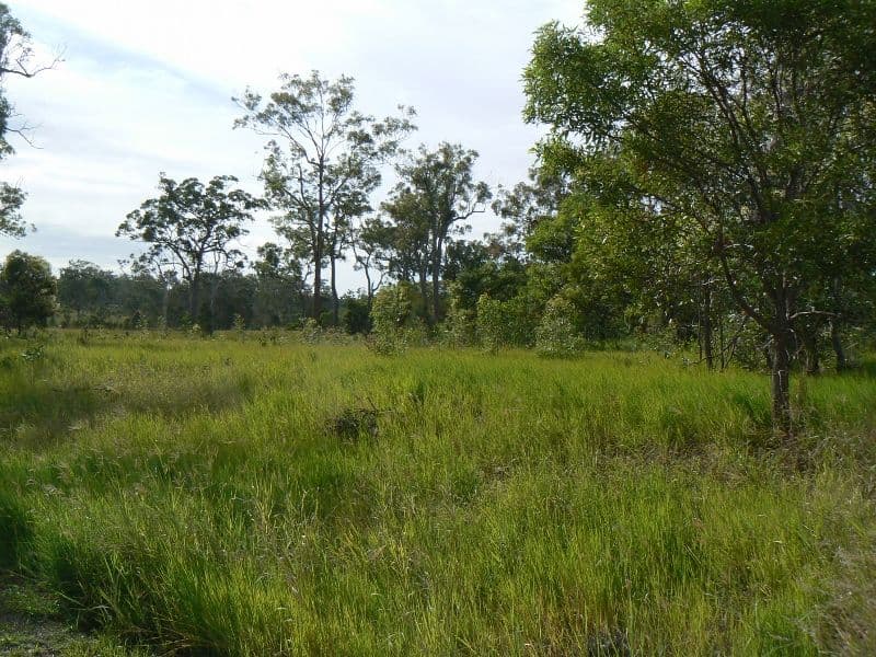 50 Georgia Way, Oakhurst QLD 4650, Oakhurst - Thumbnail 3