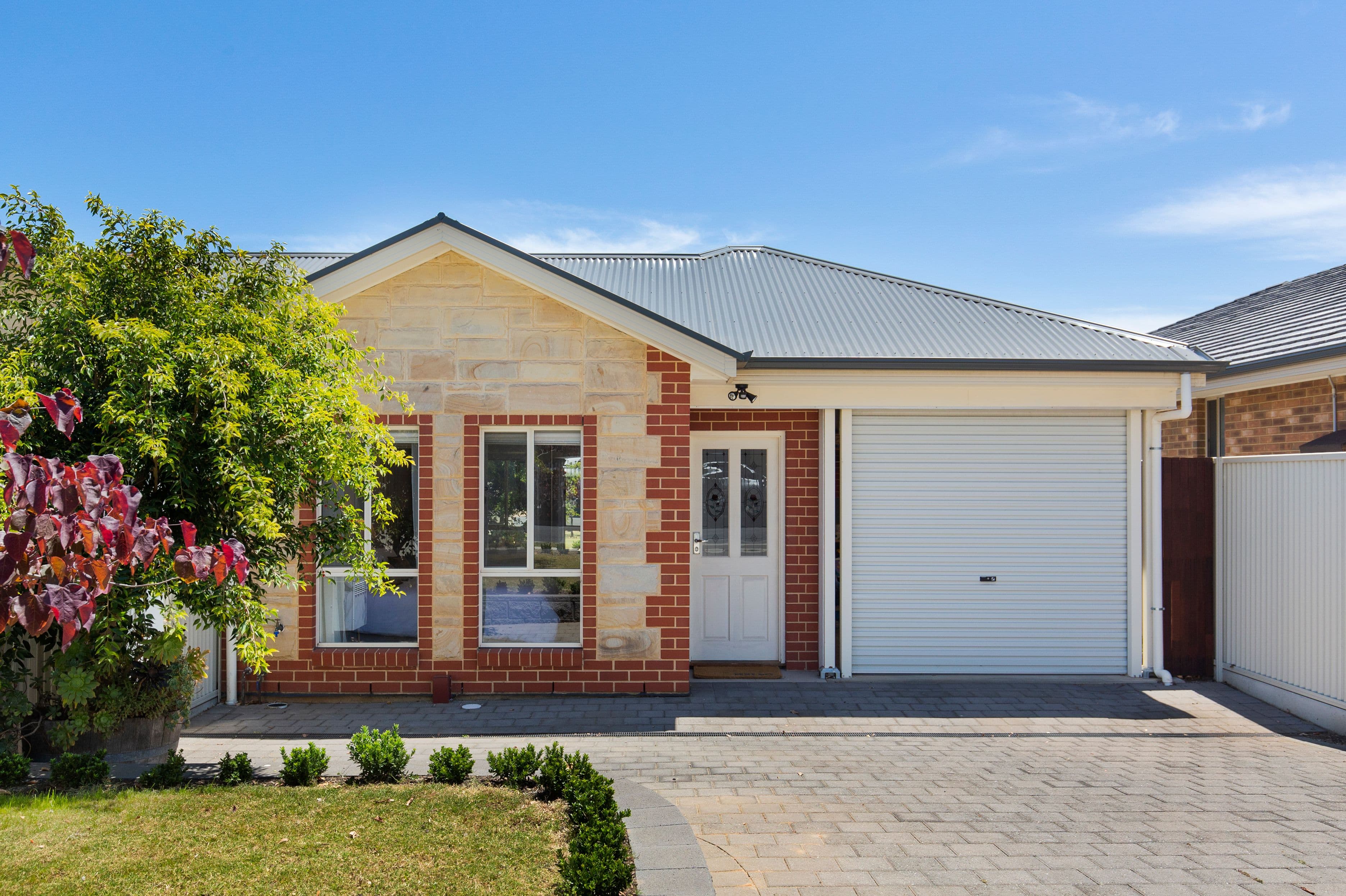 59 Celtic Avenue, Clovelly Park SA 5042, Clovelly Park - Thumbnail 2