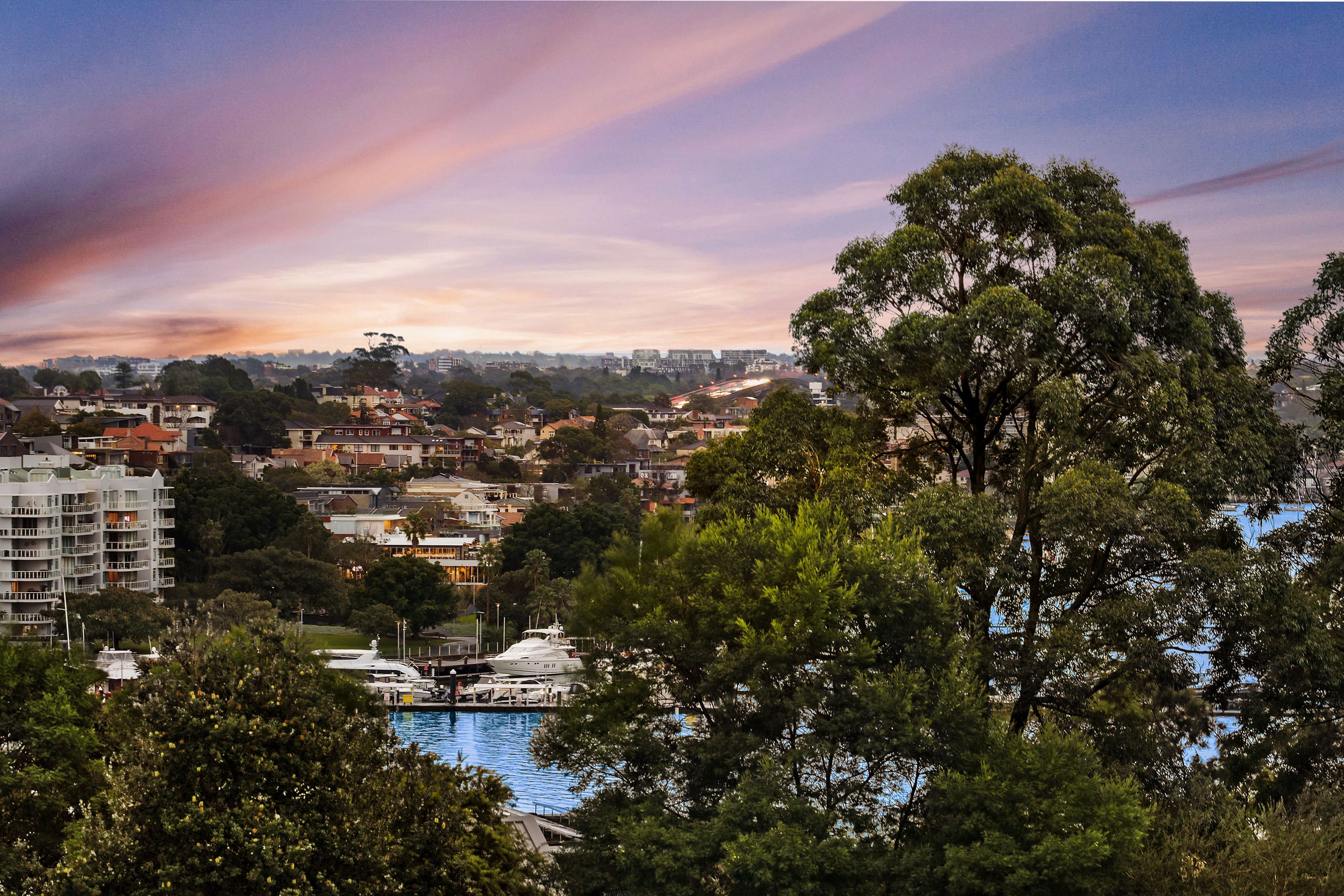 64 Terry Street, Rozelle NSW 2039, Rozelle - Thumbnail 2