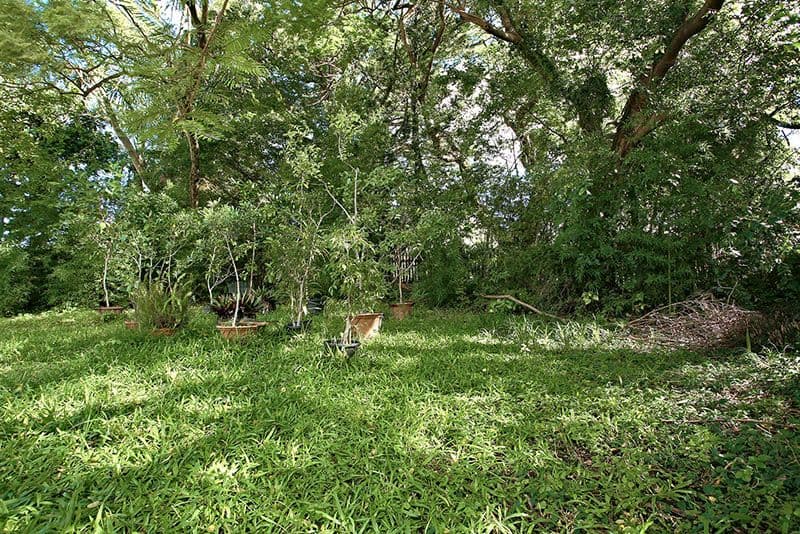 5 Sydney Street, FAIRFIELD QLD 4103, Fairfield - Thumbnail 6