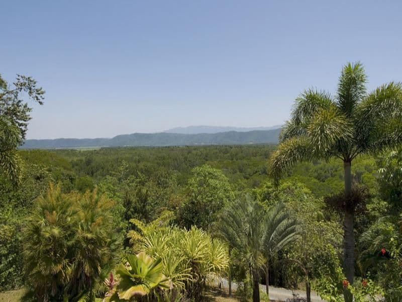 27 Forest Creek Road, DAINTREE QLD 4873, Daintree - Thumbnail 3