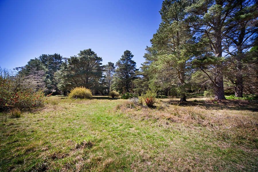 6-16 Somerset Street, MEDLOW BATH NSW 2780, Medlow Bath - Thumbnail 4