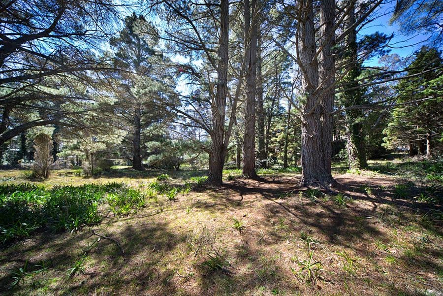 6-16 Somerset Street, MEDLOW BATH NSW 2780, Medlow Bath - Thumbnail 5