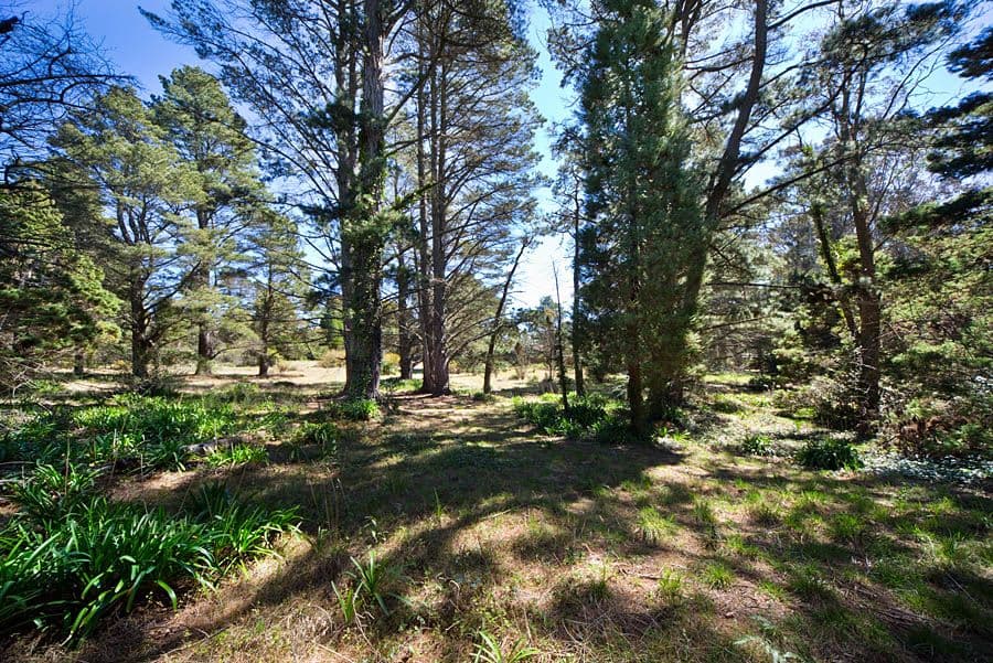 6-16 Somerset Street, MEDLOW BATH NSW 2780, Medlow Bath - Thumbnail 6