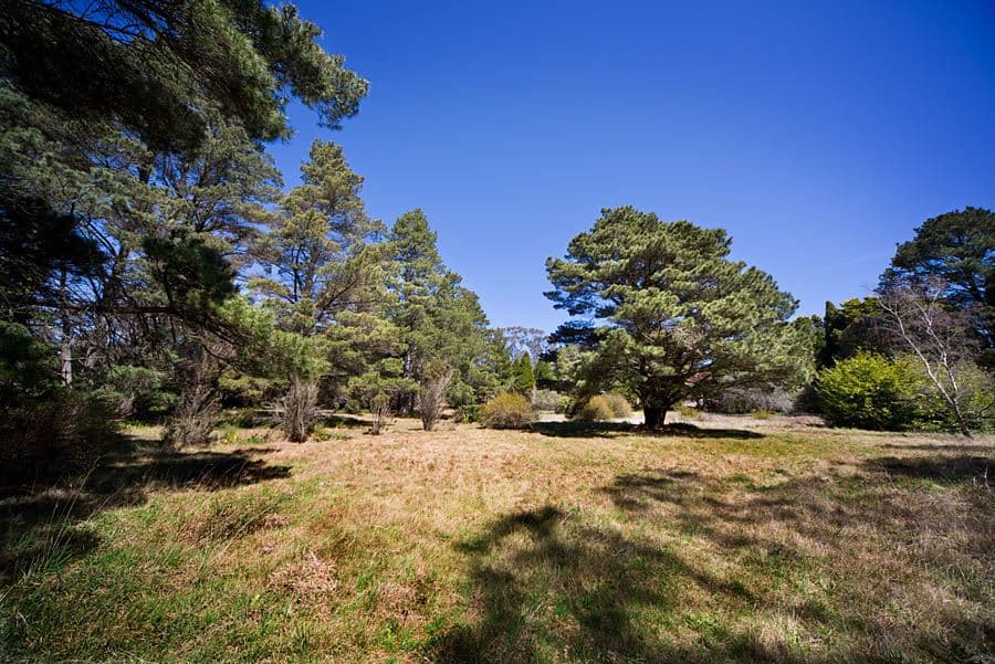 6-16 Somerset Street, MEDLOW BATH NSW 2780, Medlow Bath - Thumbnail 7