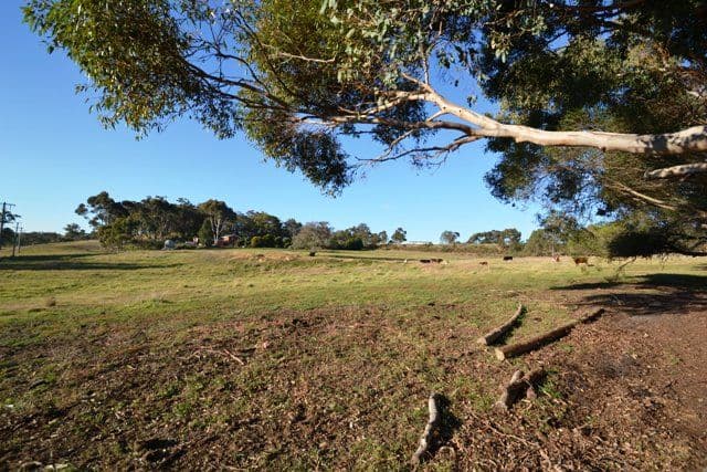 90 Sungarrin Road, SEYMOUR VIC 3660, Seymour - Thumbnail 4