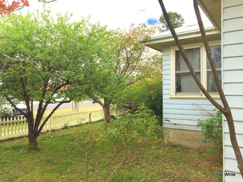 108 Duncan Street, Braidwood - Thumbnail 8