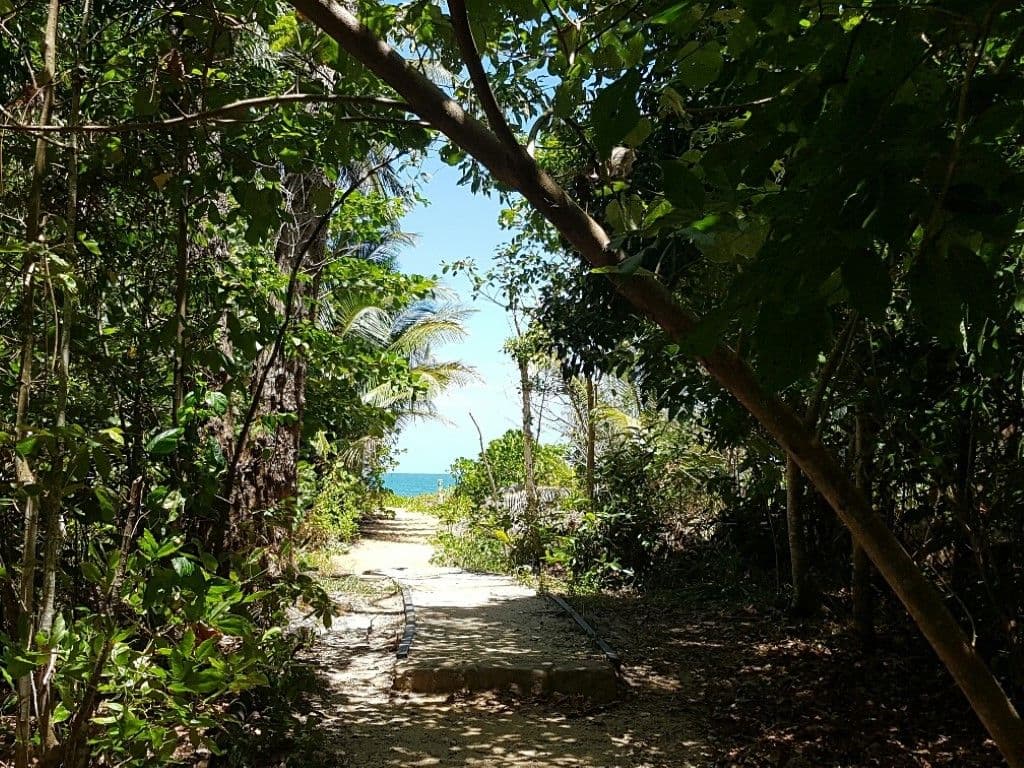 35 Kwila Street, Wongaling Beach QLD 4852, Wongaling Beach - Thumbnail 8