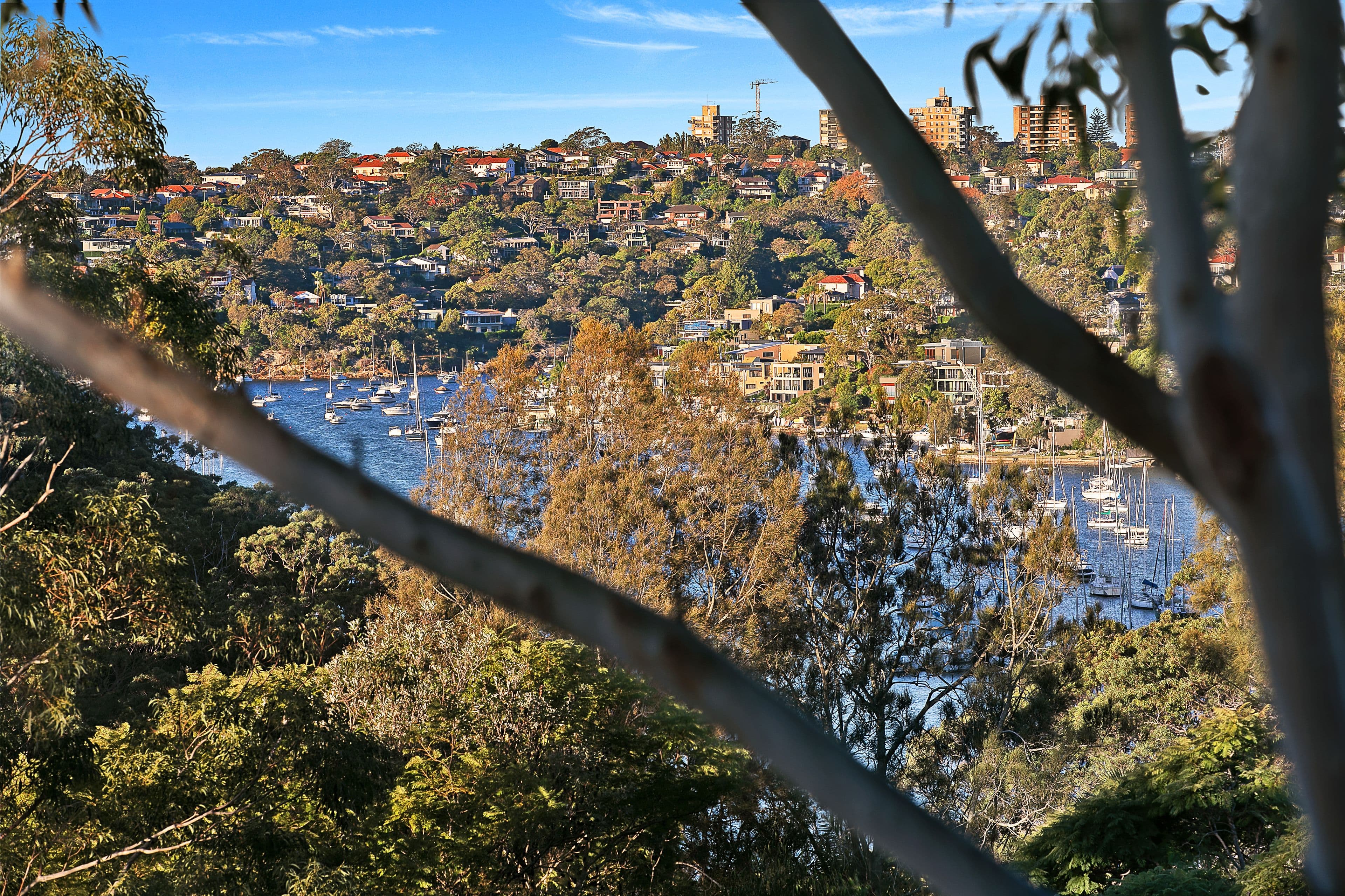 9 Rowlison Parade, Cammeray - Thumbnail 8