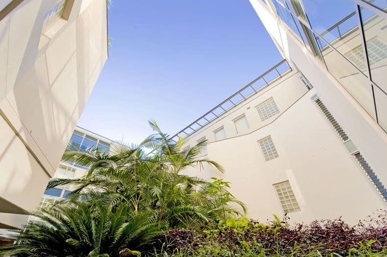 2 Albert Street, RANDWICK NSW 2031, Randwick - Thumbnail 6