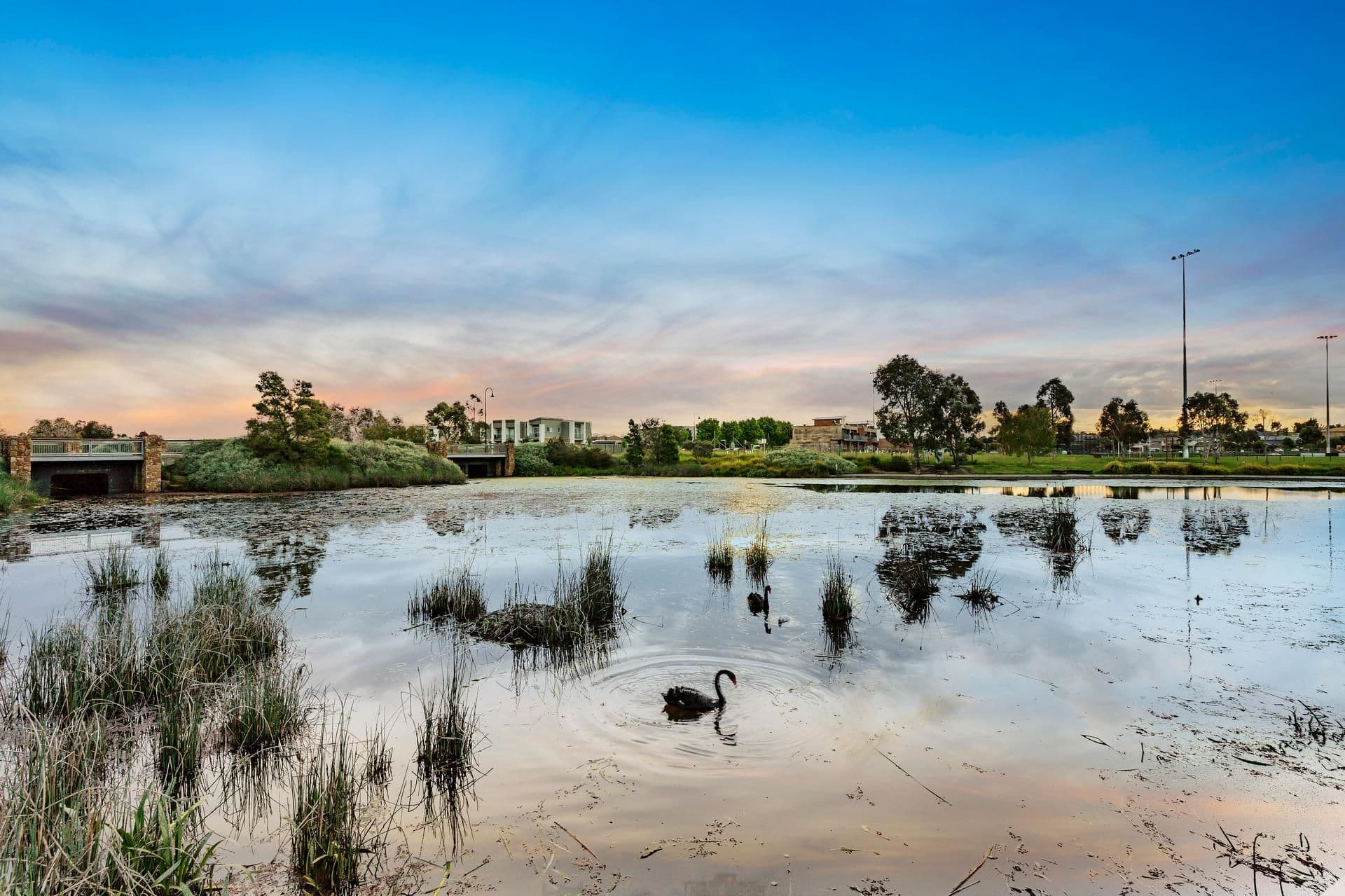 135 Flaxen Hills Road, Doreen VIC 3754, Doreen - Thumbnail 7
