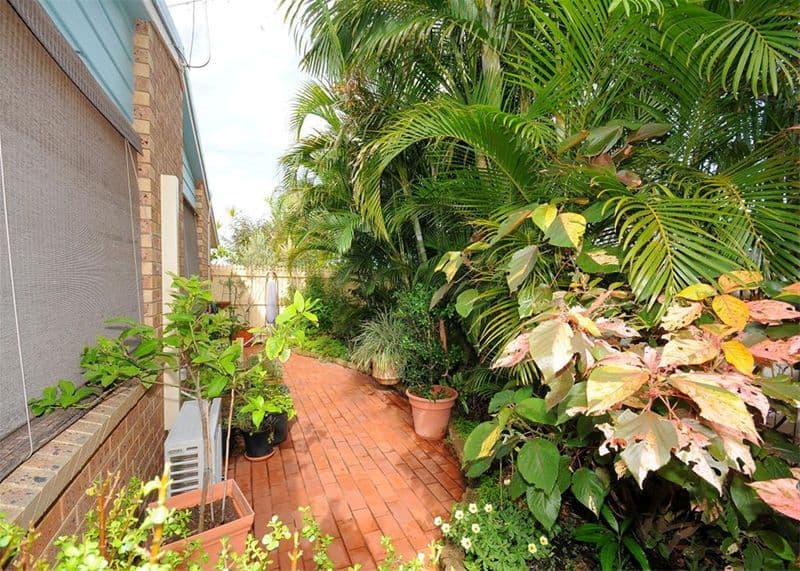 16 Preston Street, POINT VERNON QLD 4655, Point Vernon - Thumbnail 7