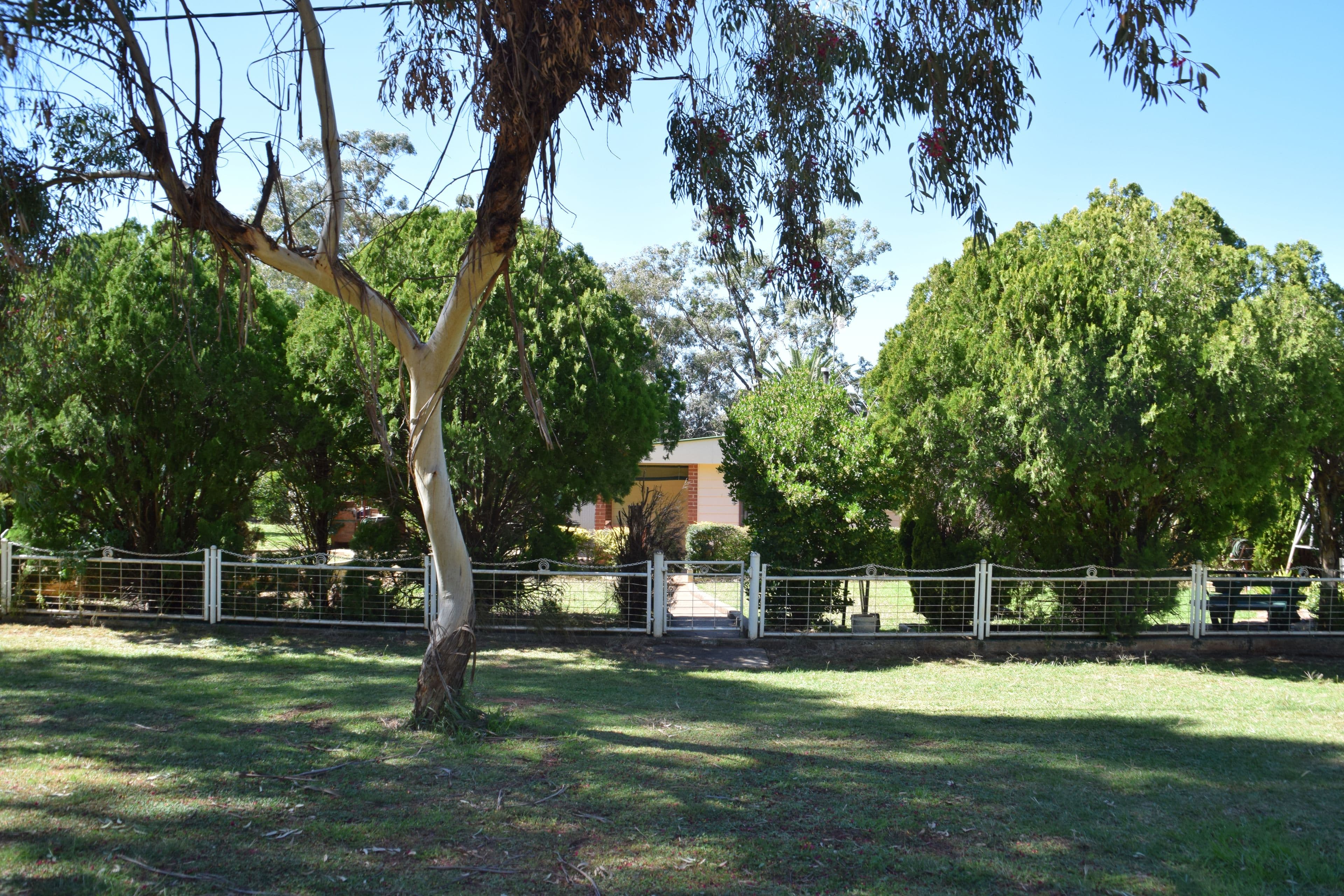 7 Warrie Street, Brocklehurst NSW 2830, Brocklehurst - Thumbnail 4