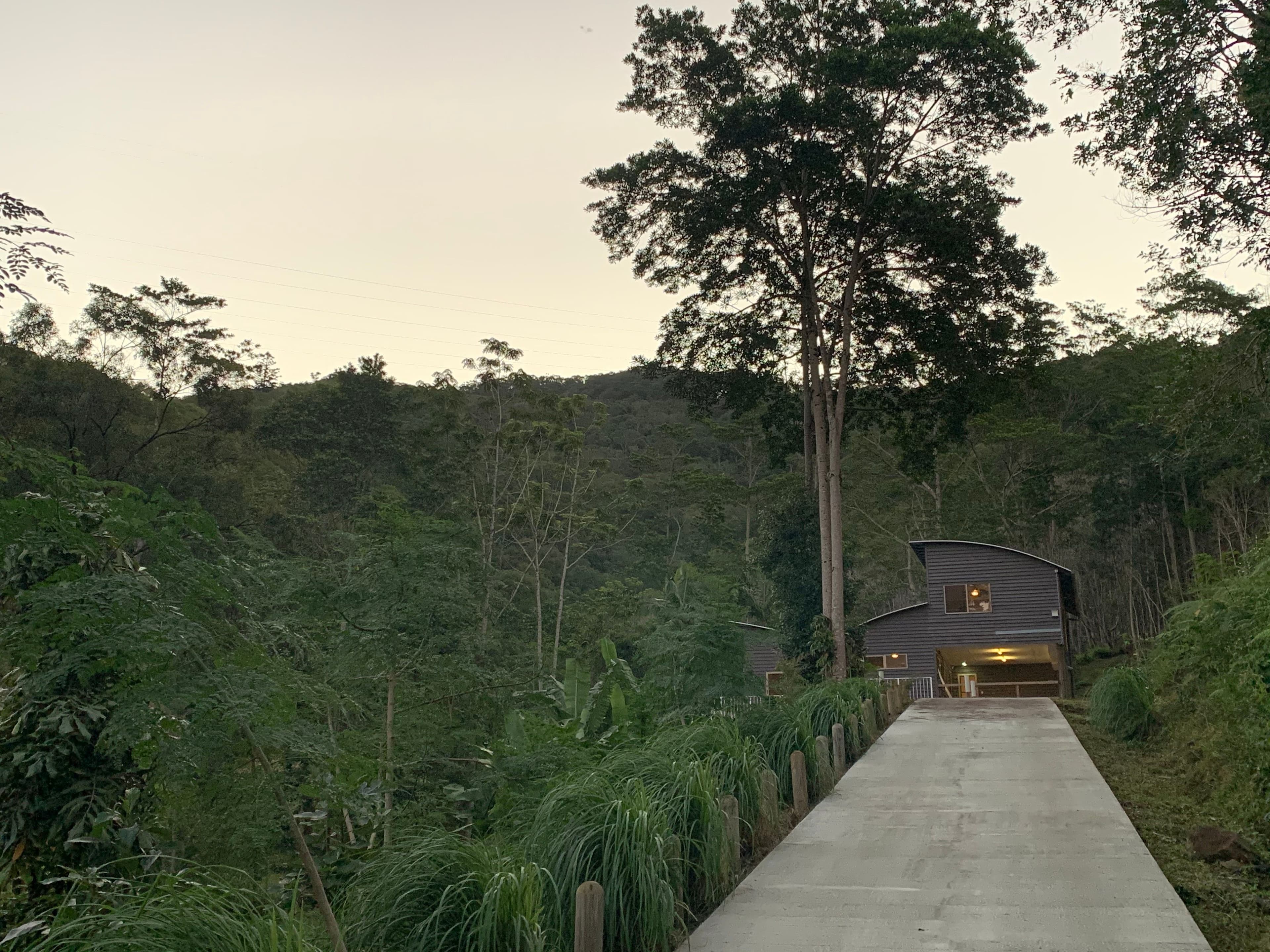 60 Fordyce Close, Currumbin Valley QLD 4223, Currumbin Valley - Thumbnail 6