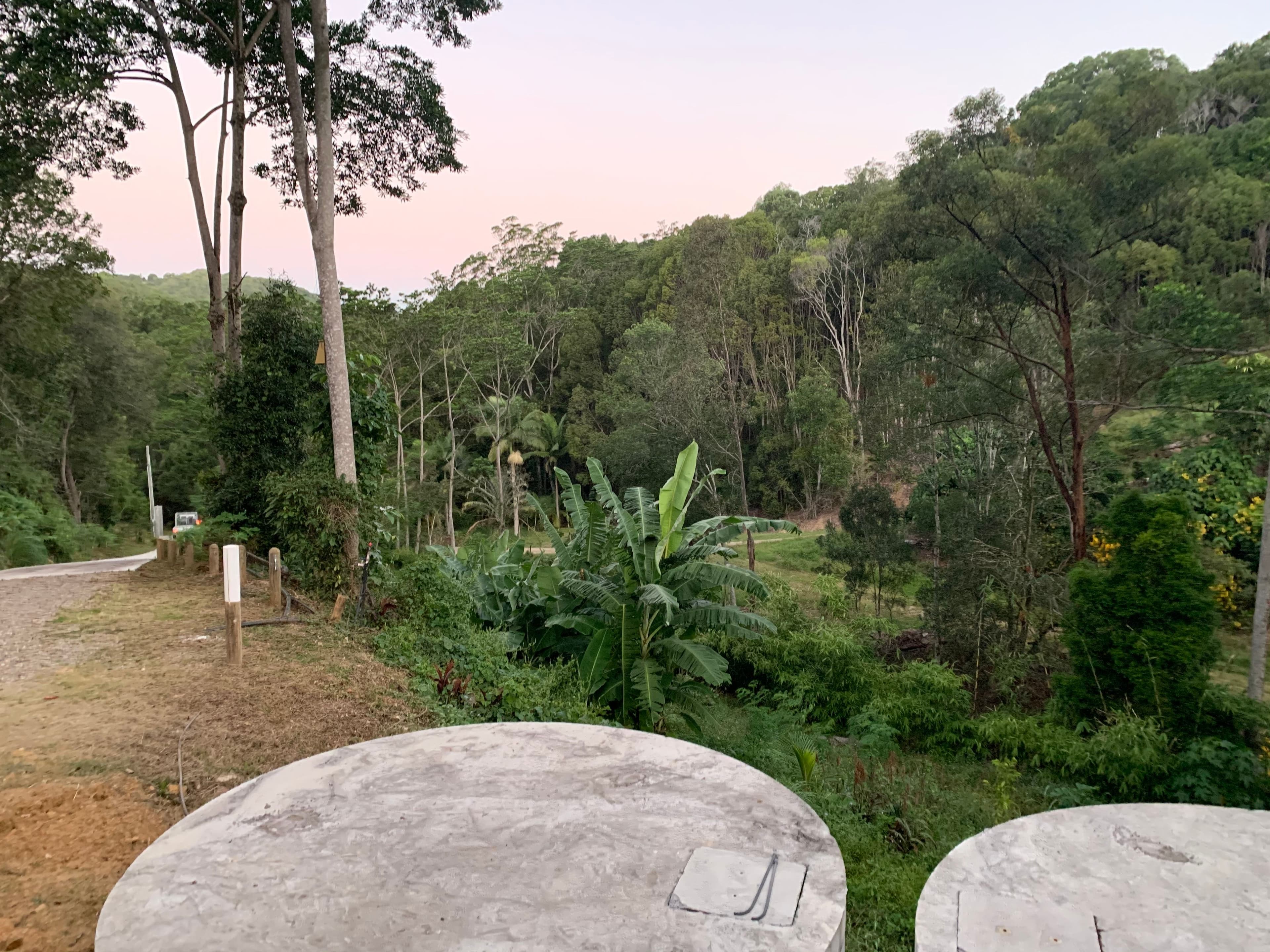 60 Fordyce Close, Currumbin Valley QLD 4223, Currumbin Valley - Thumbnail 7