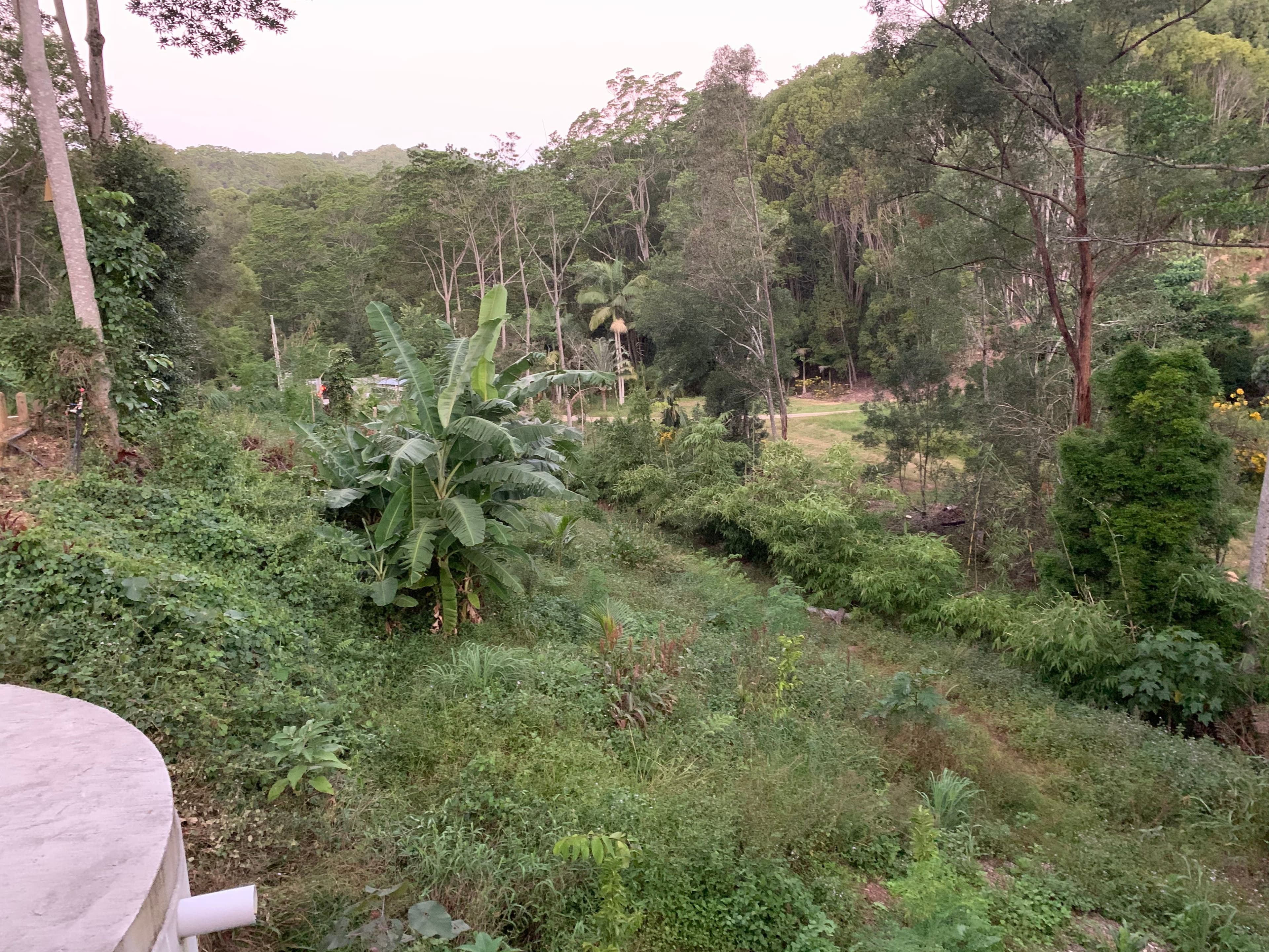 60 Fordyce Close, Currumbin Valley QLD 4223, Currumbin Valley - Thumbnail 8
